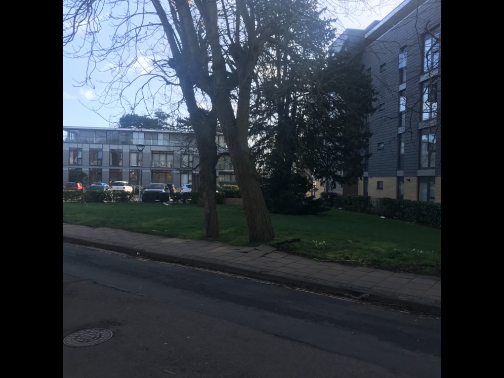 St Albans, Herts, St Peters Road St Albans tree from Storm Ciara has uprooted tree and pulled...
