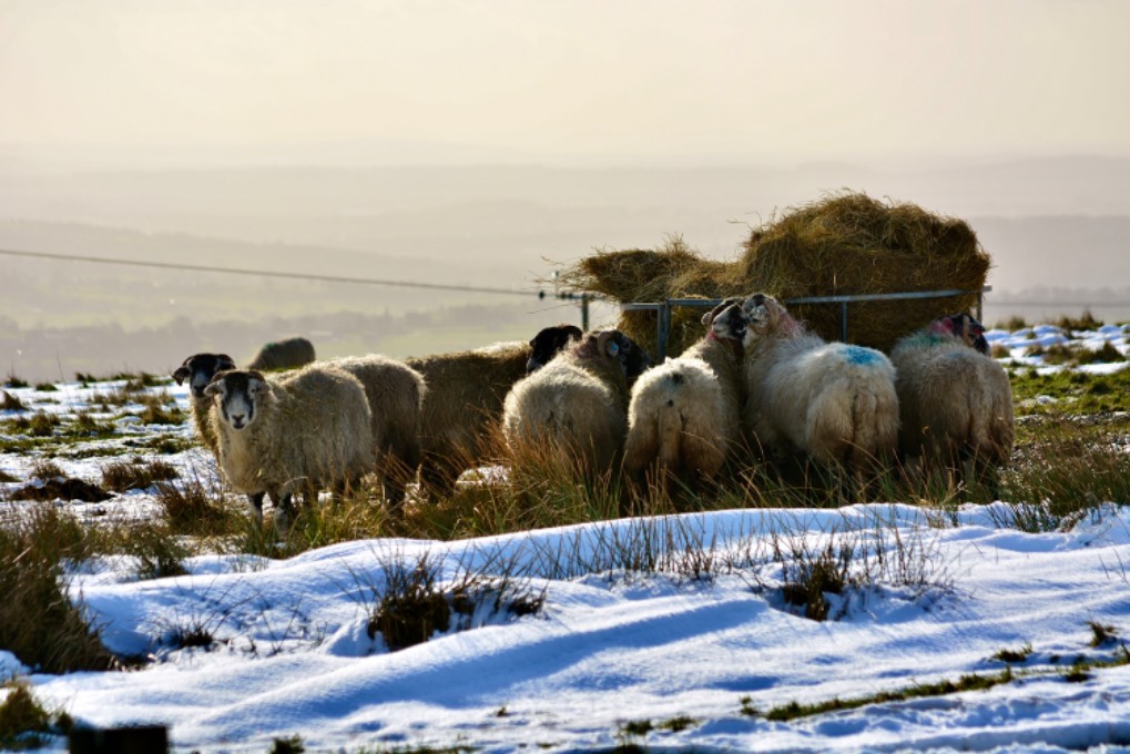 leek, staffordshire, staffs peak district....
