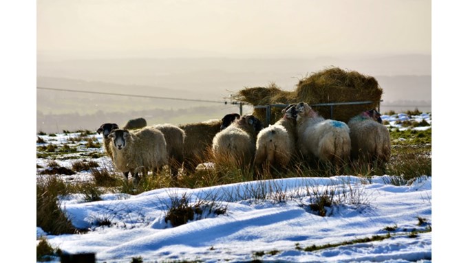 Snow scene. Near to Leek, Staffs, Peak District. Posted by toppiker60