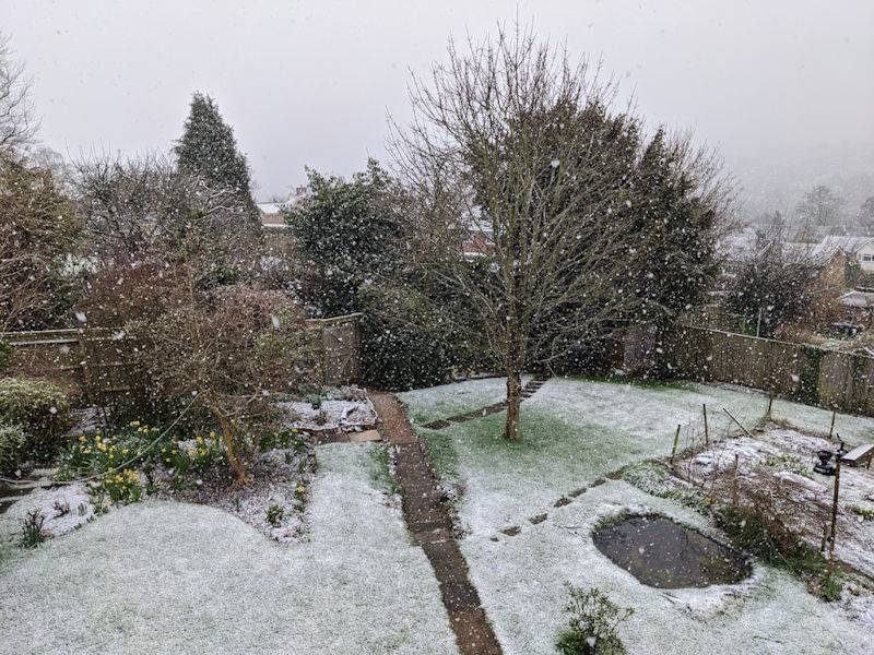 Berkhamsted, Hertfordshire, First settling snow of the winter...