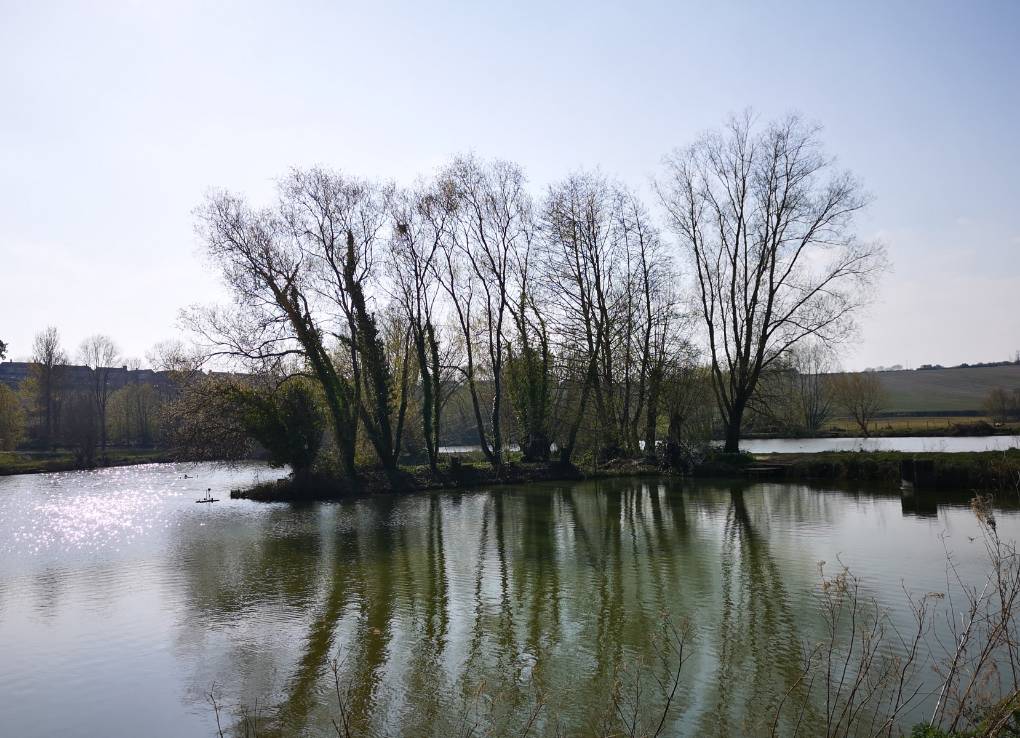 Somerton, Somerset, Reflections ...