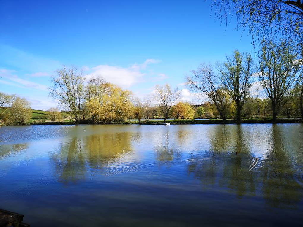 Somerton, Somerset, Lakeside view ...