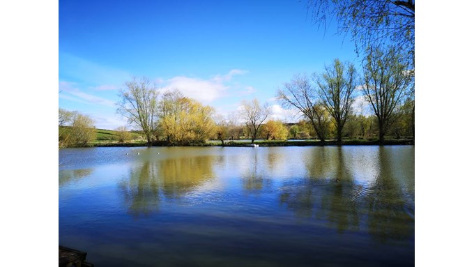 Lakeside view. Posted by glynnadams68