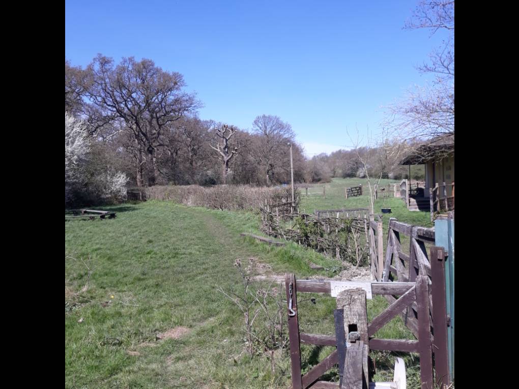 Perivale, London, Another gloriouss early spring day,Perivale Woods....