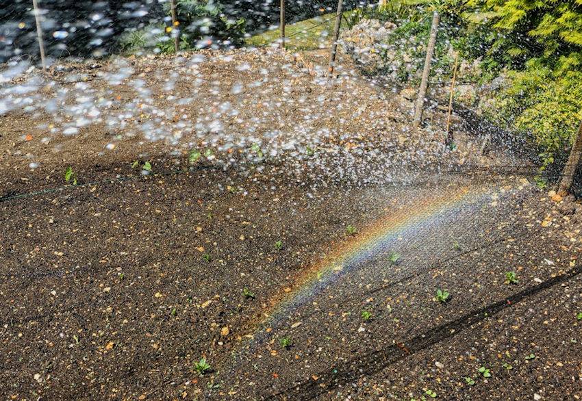 Berkhamsted, Hertfordshire, Rainbow. Of sorts....