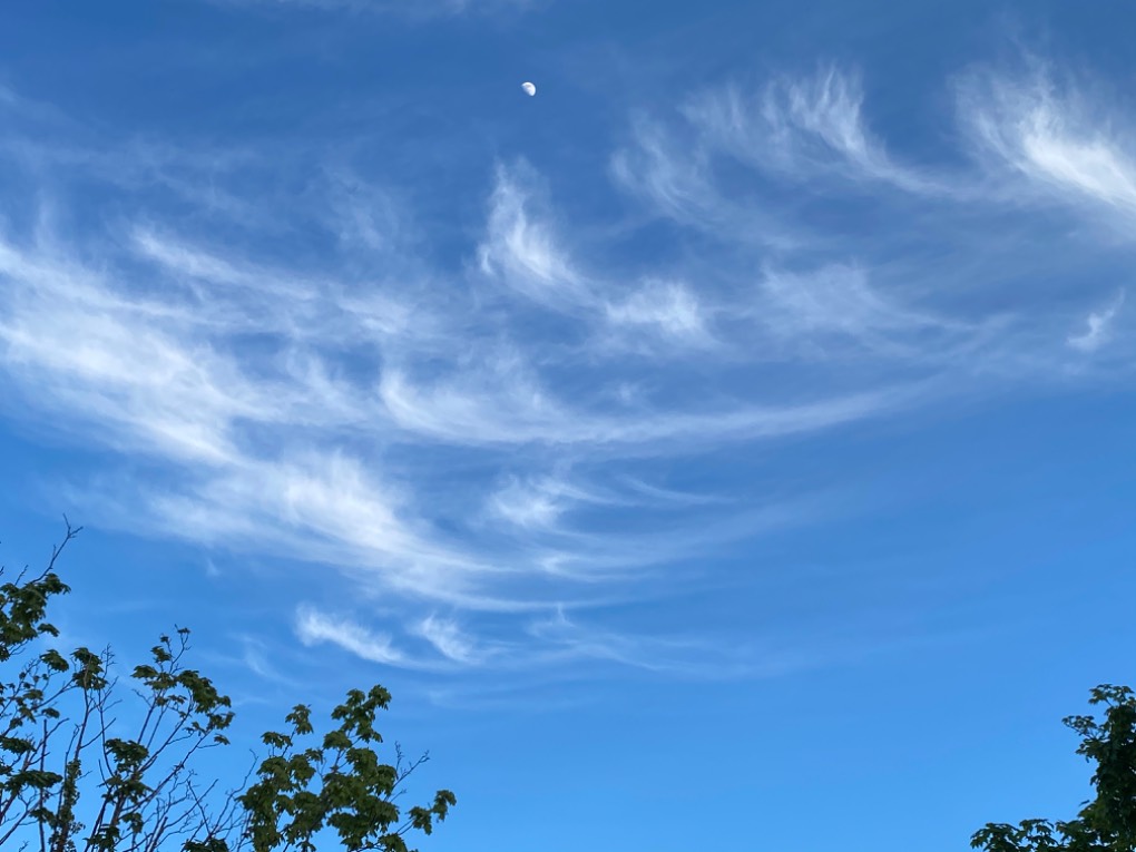 Fleet, Hants, Cirrus...