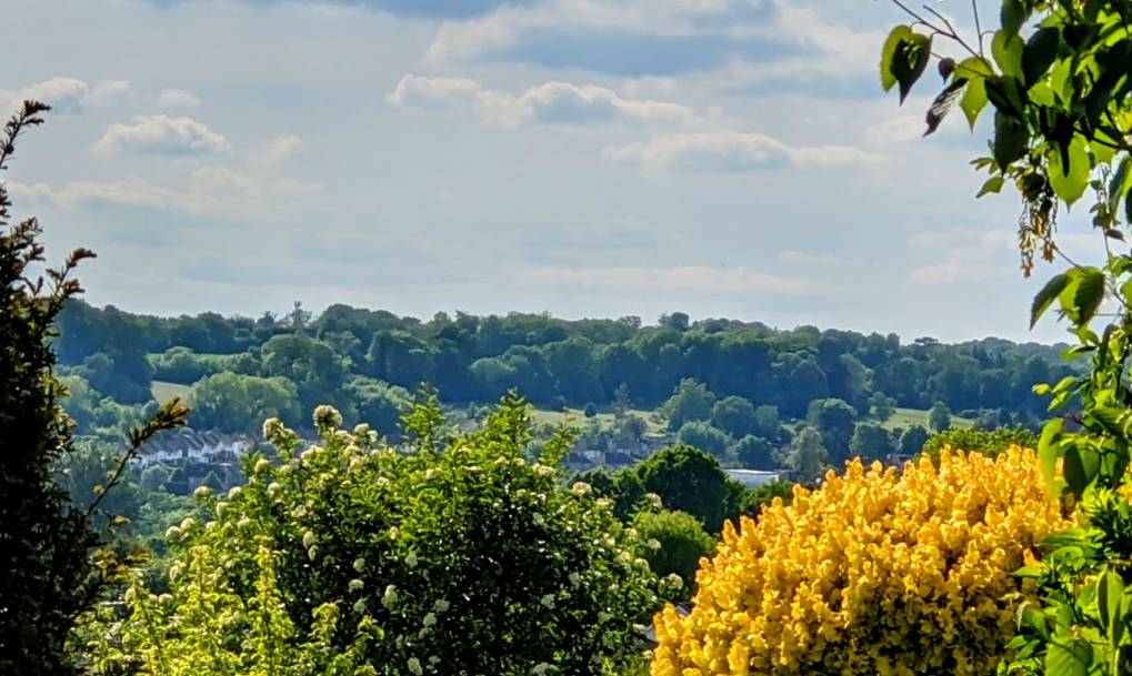 Pleasantly afternoon sunshine. Berkhamsted, Hertfordshire,United Kingdom, sent by brian gaze