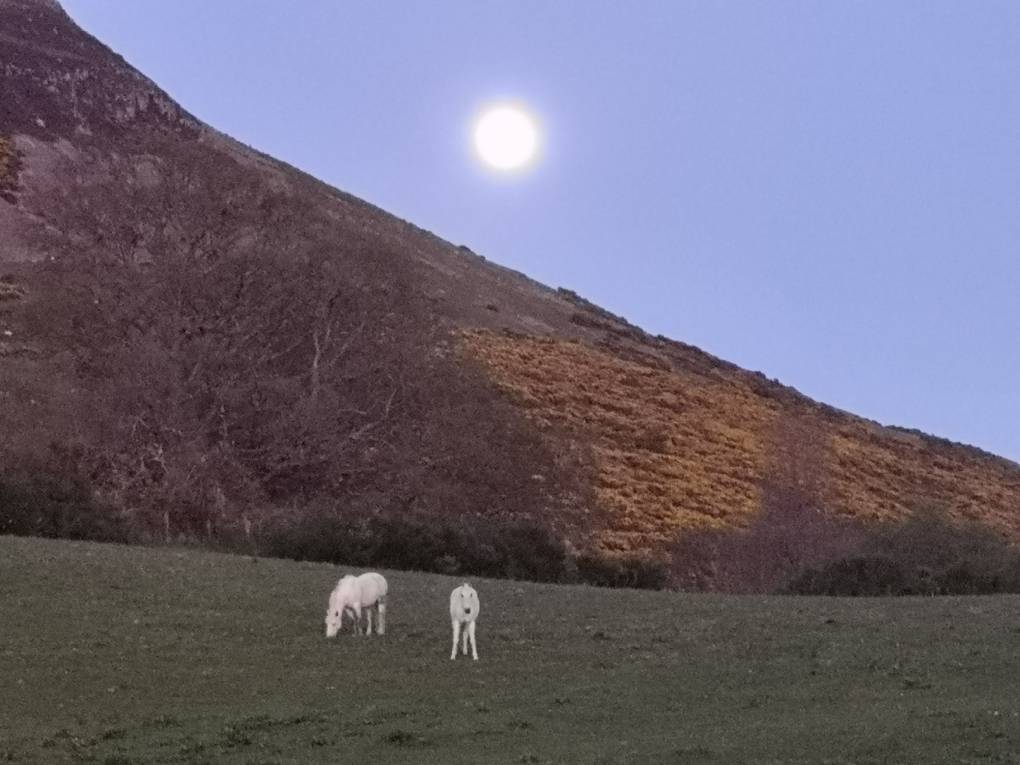 Auchterarde, , Recent super moon at dusk...