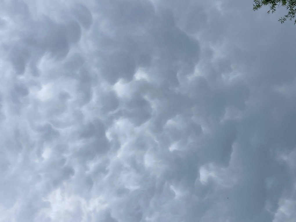 Wincanton, Somerset, Mammatus...