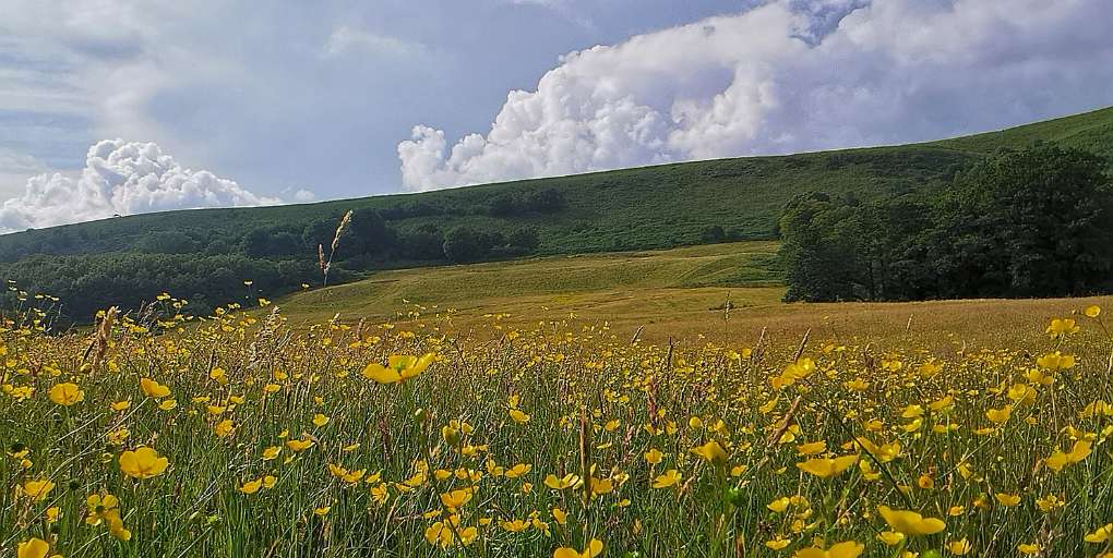 Cardiff, Wales, Caerwen Farm and The Garth mountain. A sunny afternoon, but a thundery even...