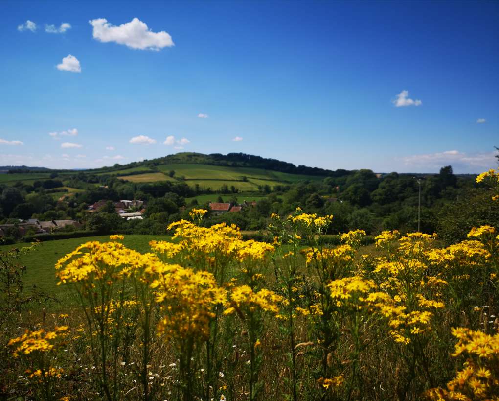 Somerton, Somerset, View from Dundon Beacon ...