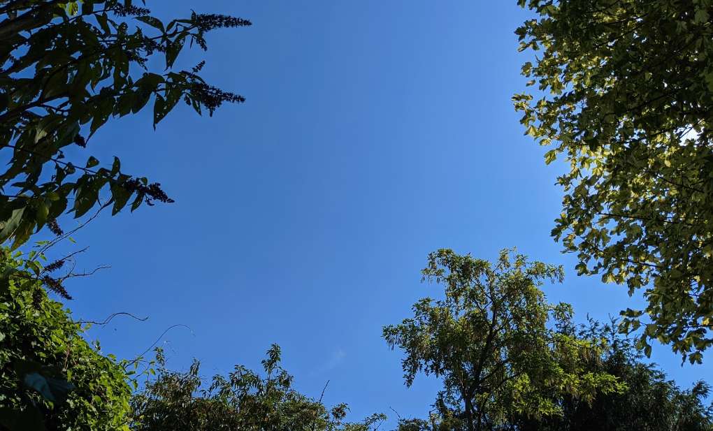 Berkhamsted, Hertfordshire, 36.6C in Berkhamsted making it the hottest day of the year so far....