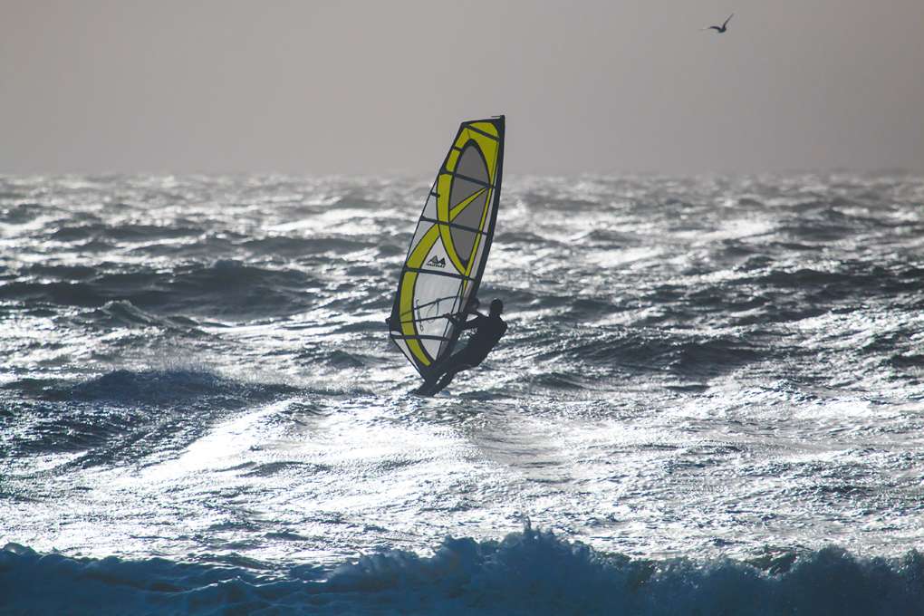 Weymouth, Dorset, Storm, Windsurfer and Gull...