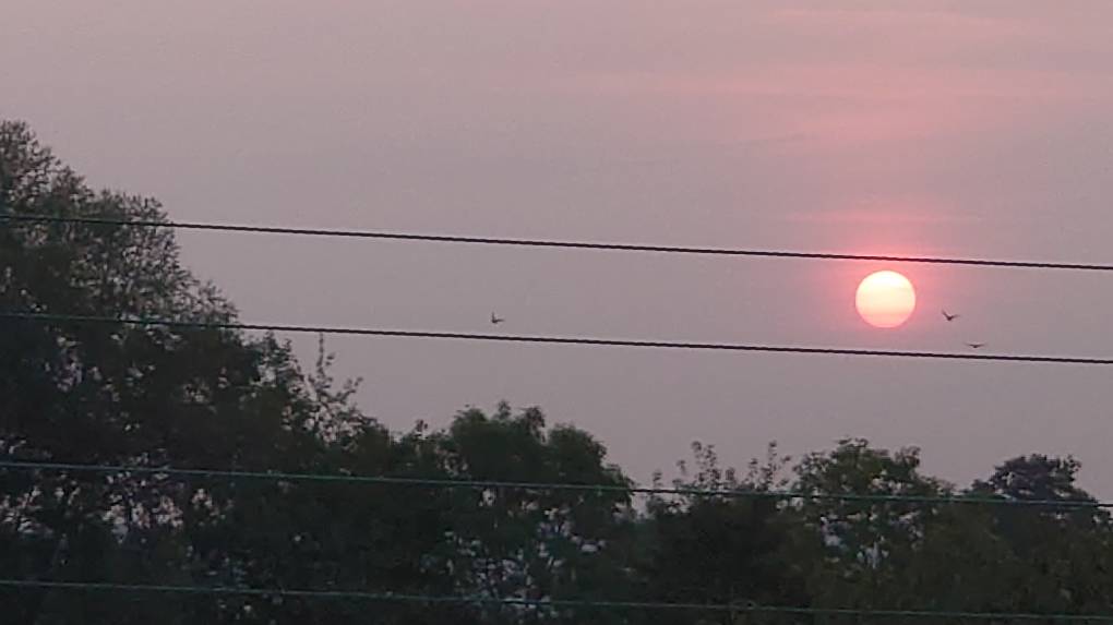 Ryarsh, Kent, This mornings sunrise ...