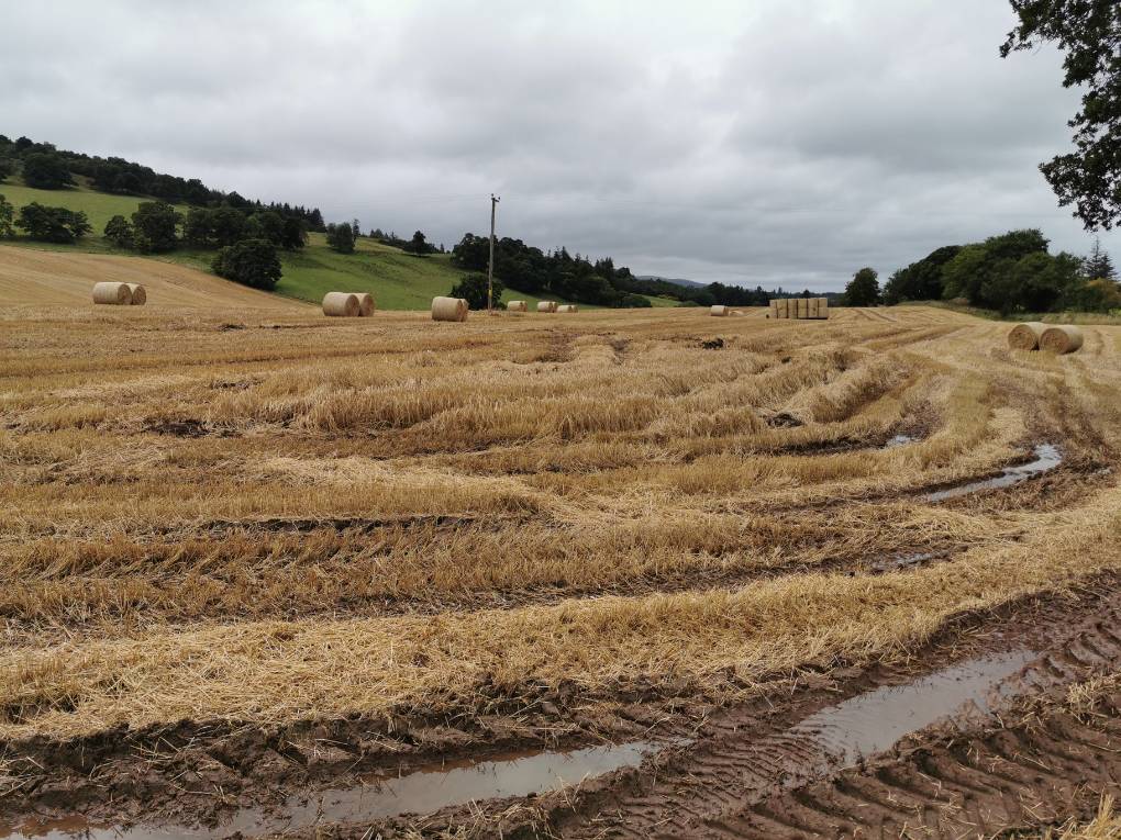 Auchterarder, , Finishing a wet harvest under grey skies...