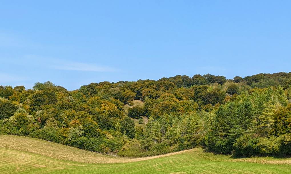 Princes Risborough, Bucks, Autumn colours starting to appear in the Chilterns...