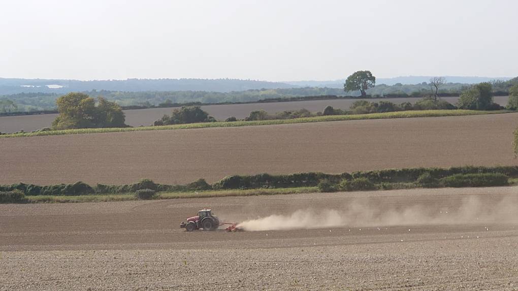 Ryarsh, Kent, ...