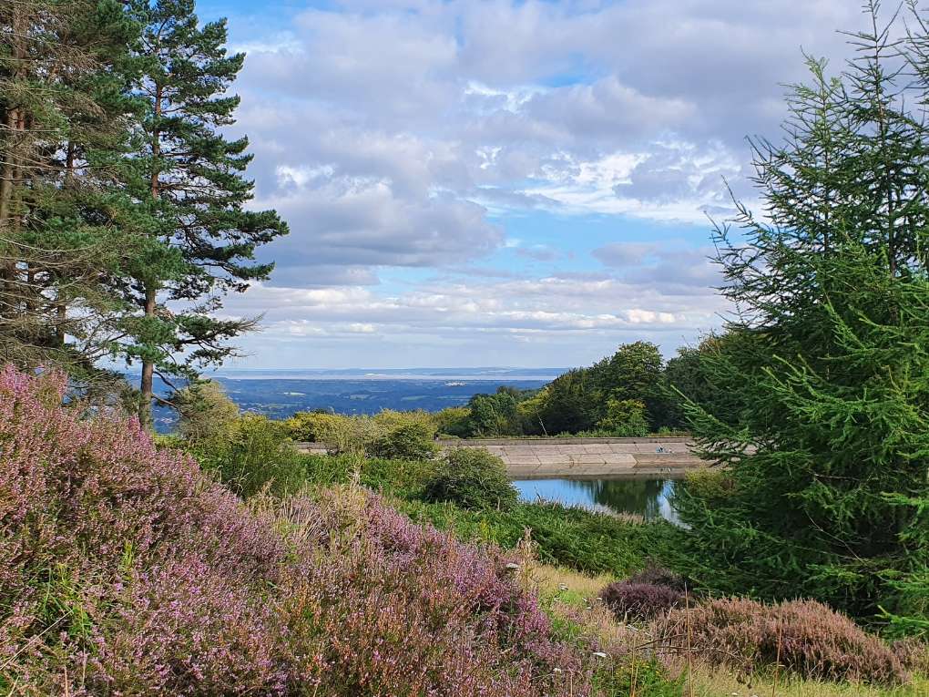 Cwmbran, Torfaen, Summer ...