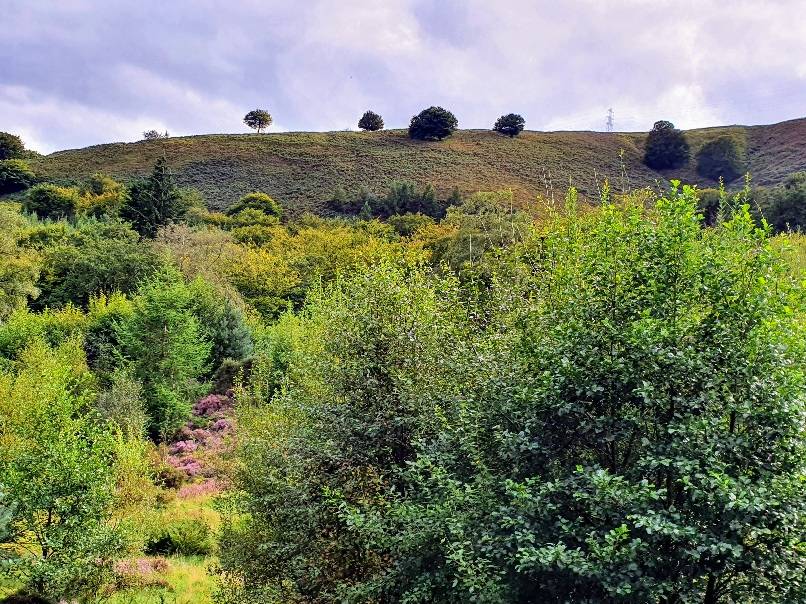 Cwmbran, Torfaen, Summer's day...