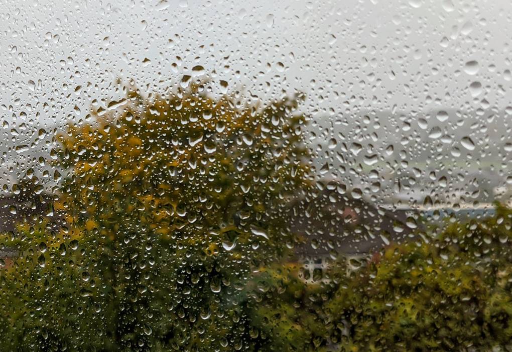 Berkhamsted, Herts, The best place is indoors...