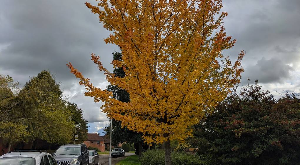 Berkhamsted, Herts, Autumn marches on...