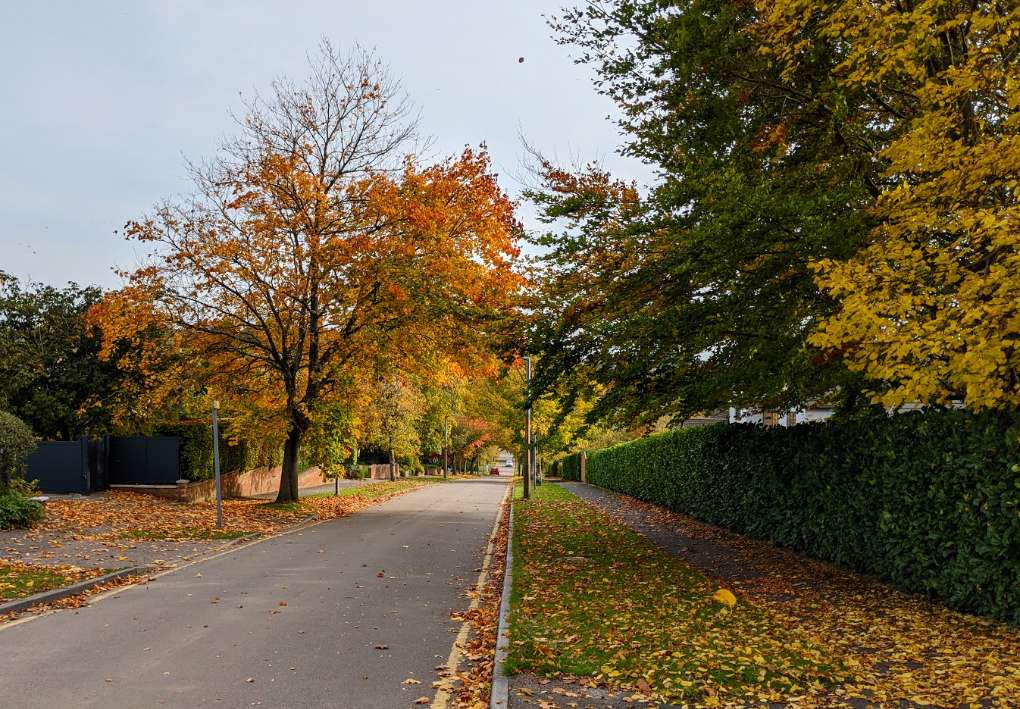Berkhamsted, Herts, Autumn in Berkhamsted...