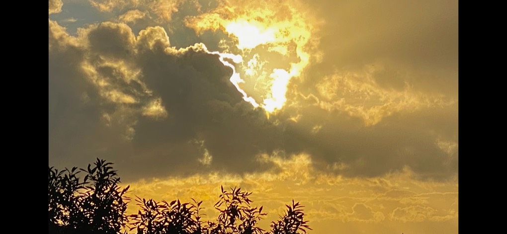 Aldershot, , ...