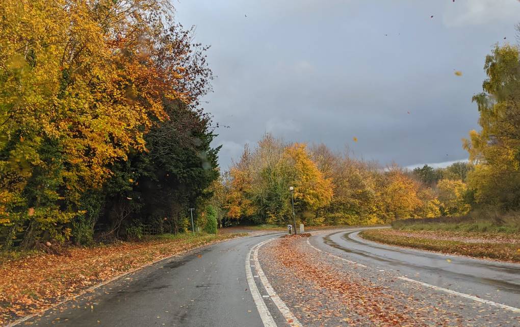 Tring, , Autumal scene...
