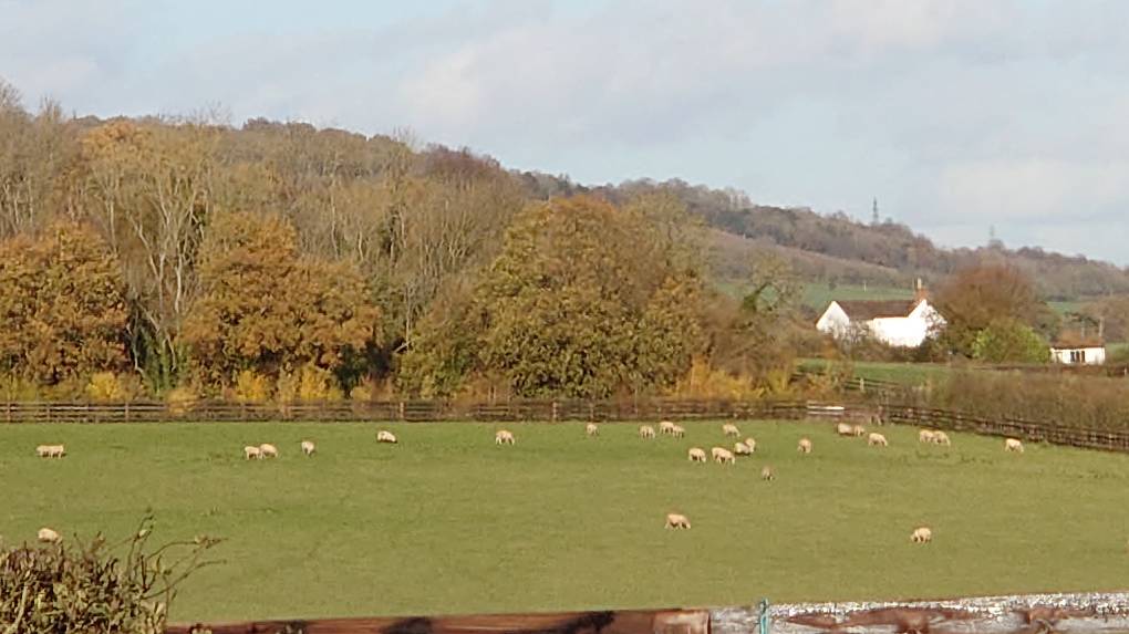 Ryarsh, Kent, Just a lovely autumn day...