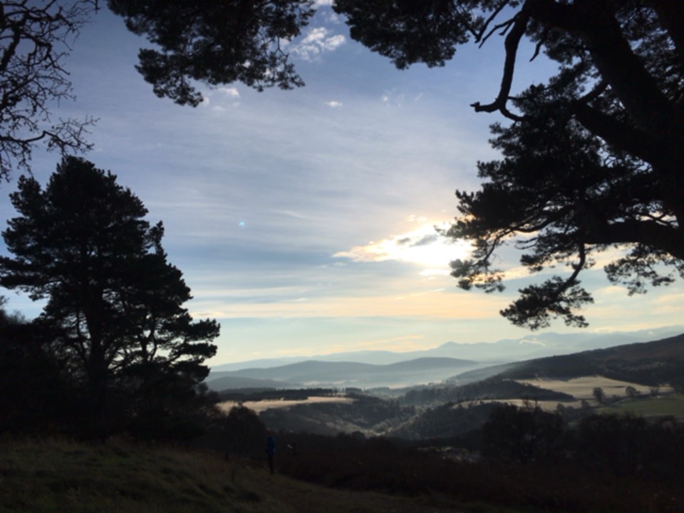 Grantown on Spey, Moray, Winter’s day ...