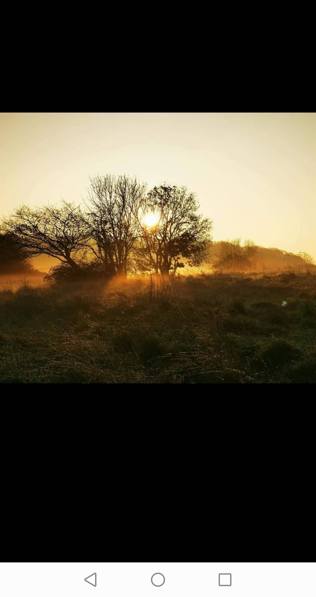 Southampton, Hampshire, Misty Delights ...