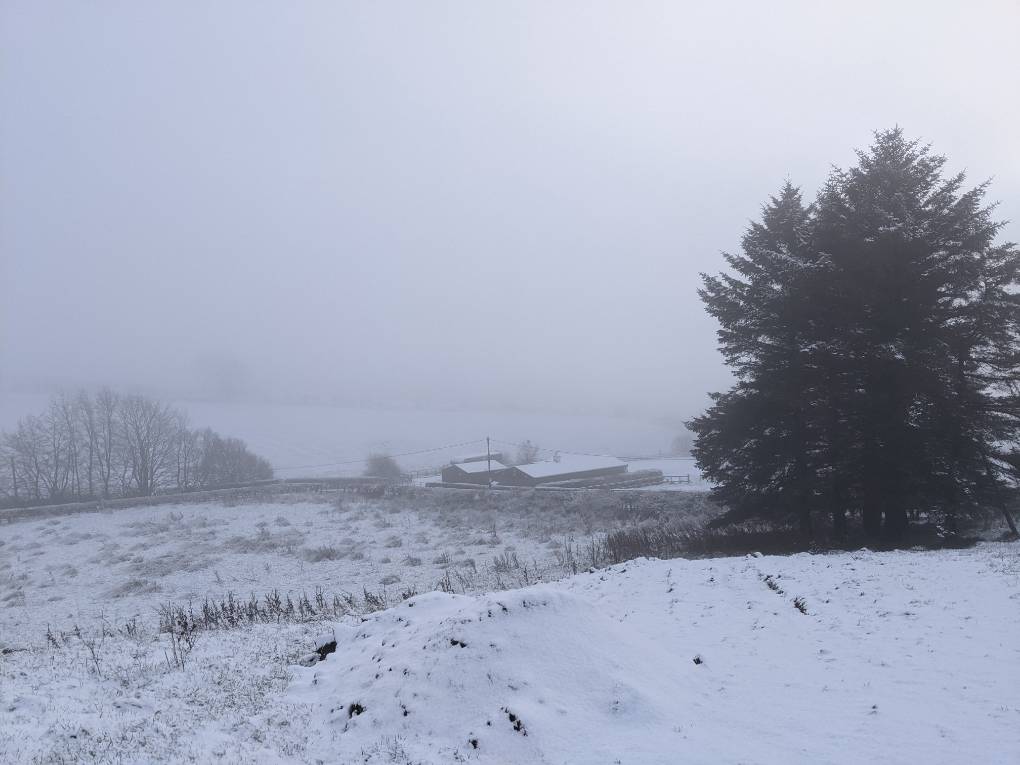Dunlop, East Ayrshire, 200m asl...