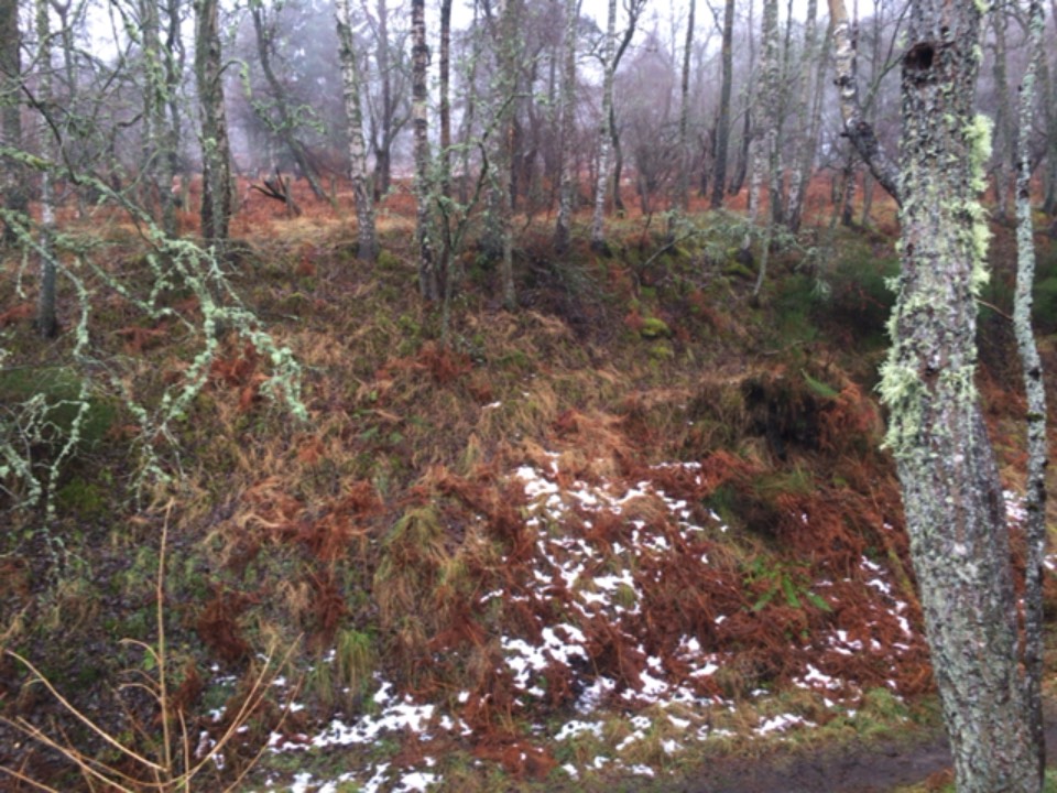 Grantown on Spey, Moray, Lingering snow on the railway line ...