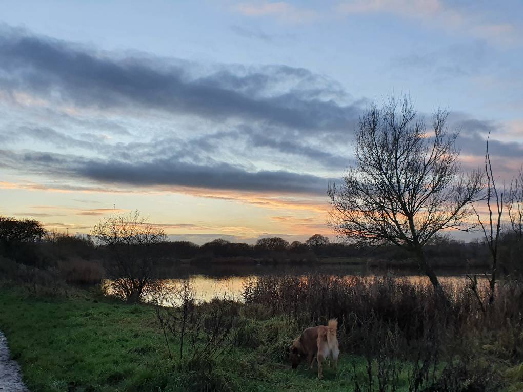 Cardiff, Cardiff, Winter sunset...