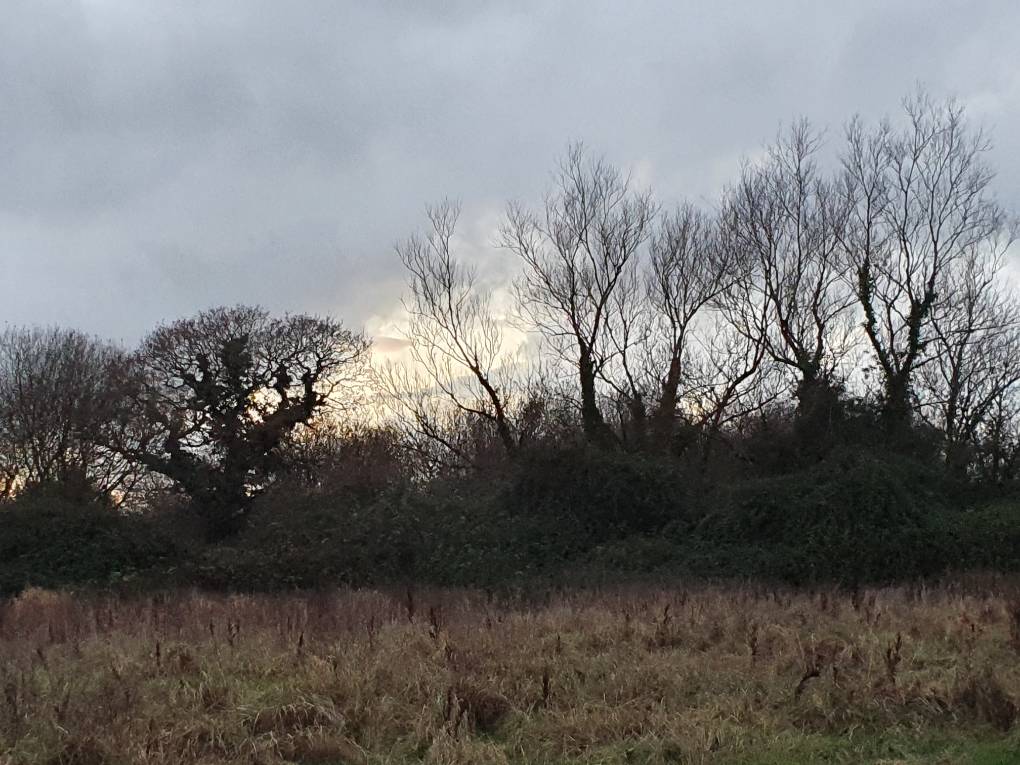 Cardiff, Cardiff, Winter scene ...