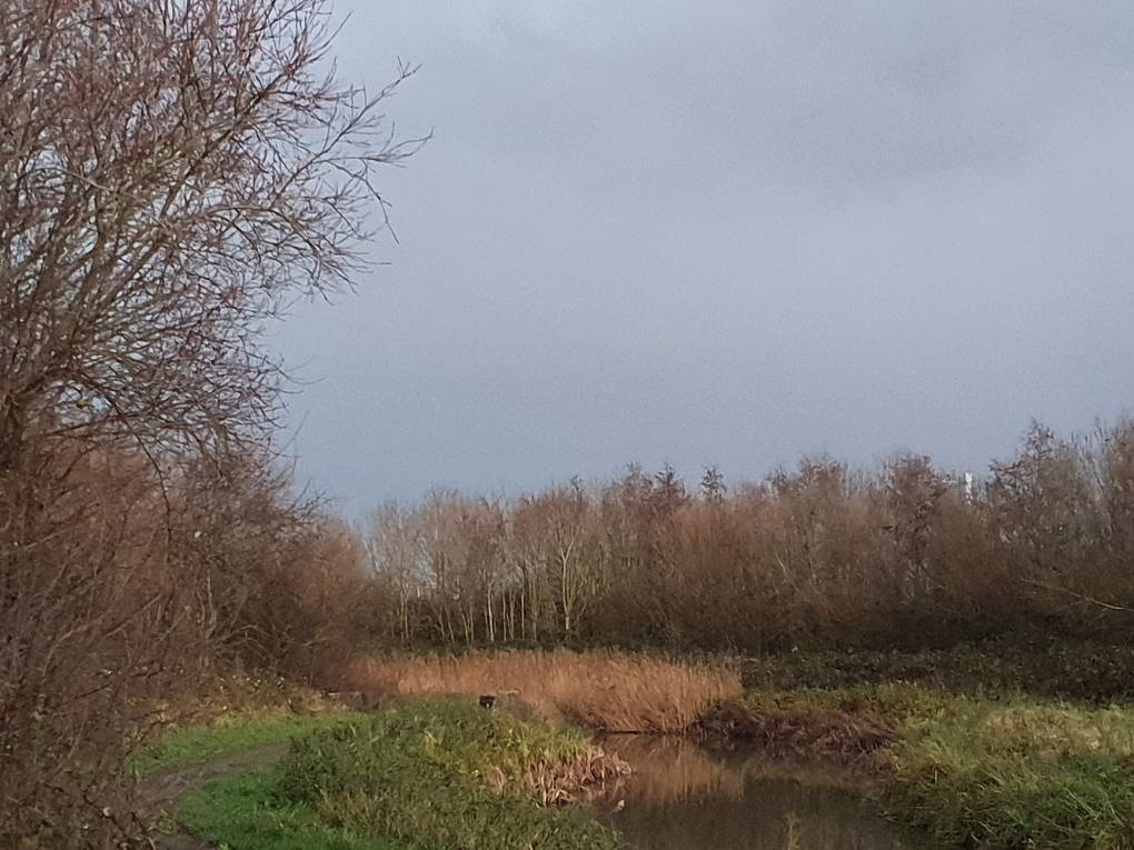 Cardiff, Cardiff, Winter colours...