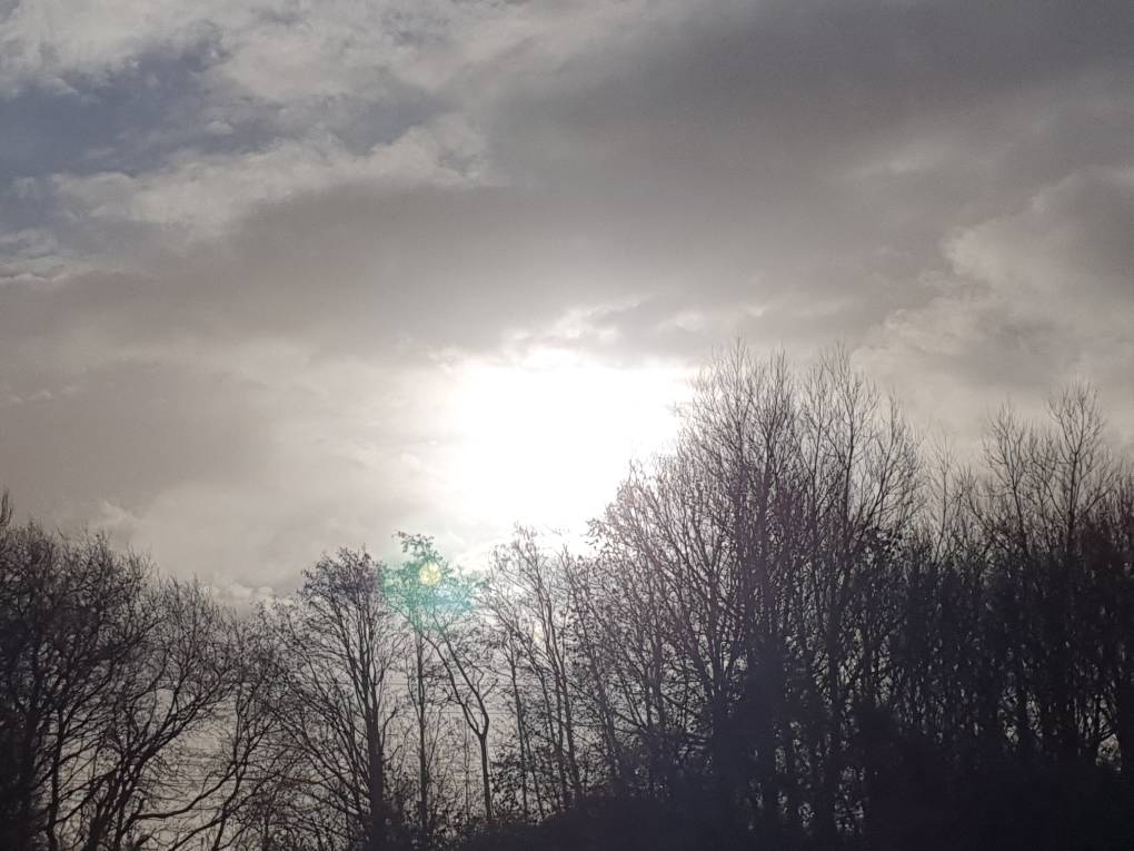 Cardiff, Cardiff, Sunny showers ...