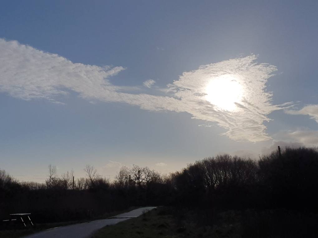 Cardiff, Cardiff, Weak morning winter sun...