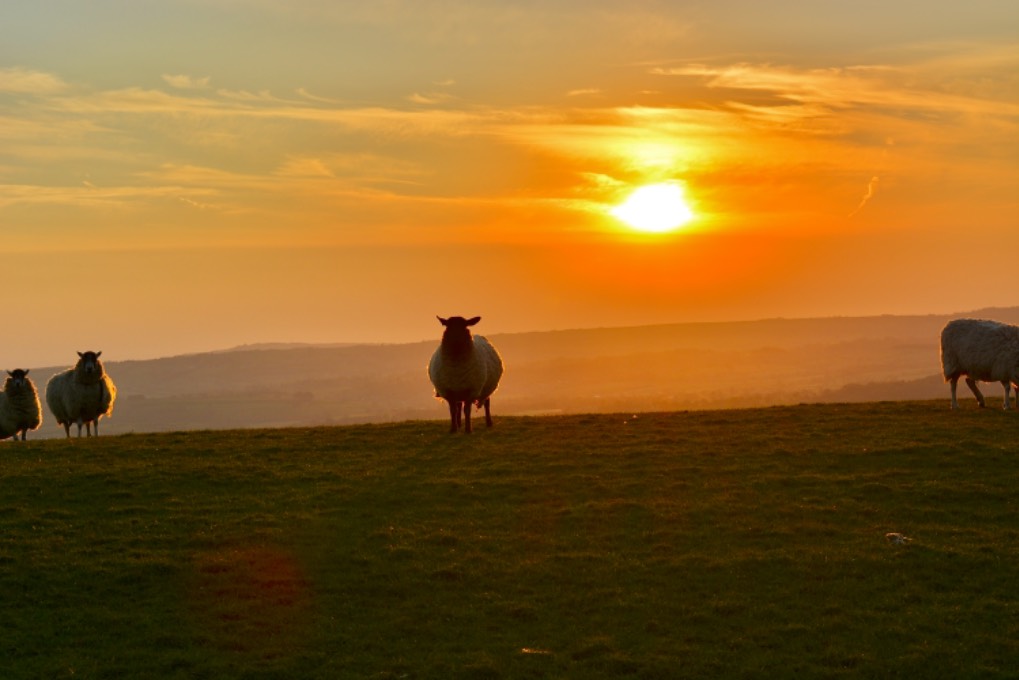 leek, staffordshire, sunny start to the day.....