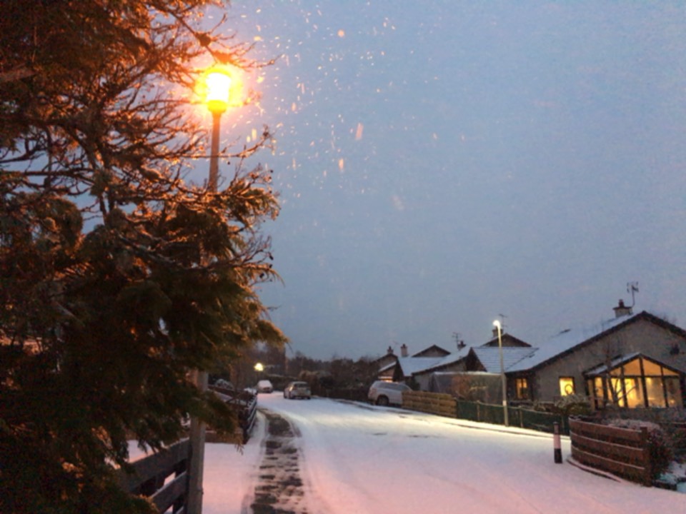 Grantown on Spey, Moray, Lampost watching ...