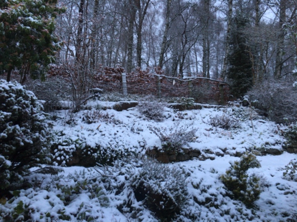Grantown on Spey, Moray, It’s beginning to look a lot like Christmas ...