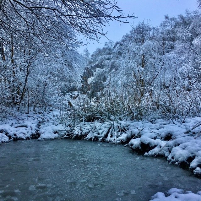 Leek, Staffordshire, A dumping of snow last night in north staffs & the Midlands ...