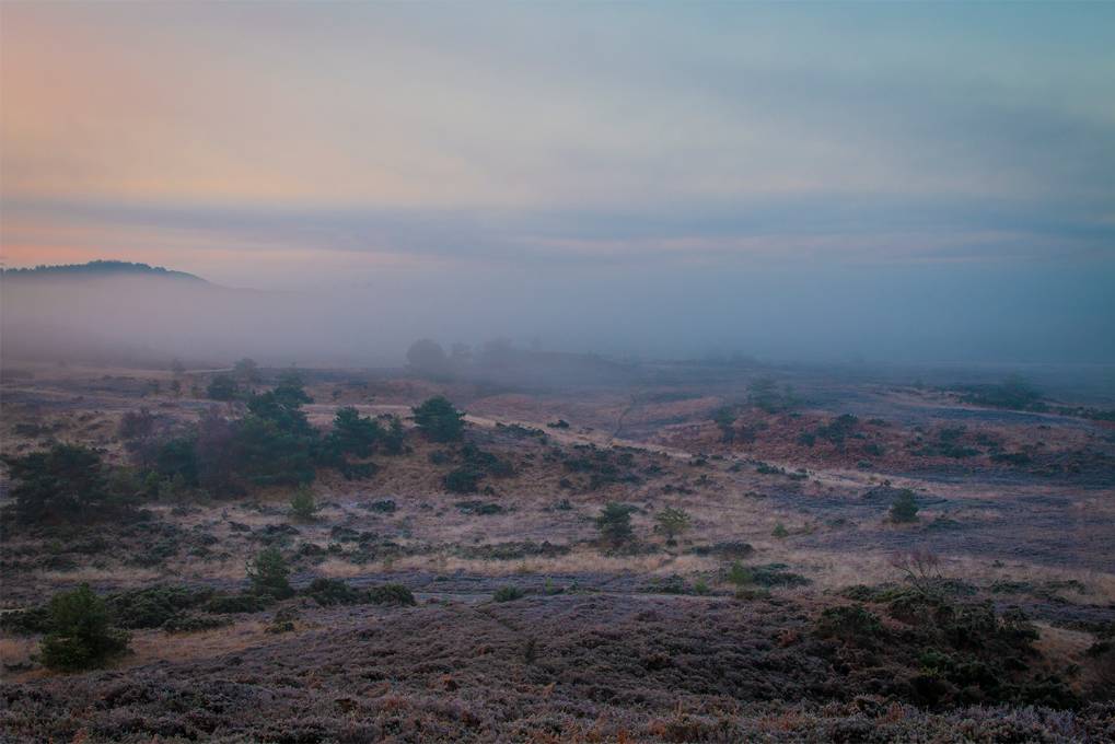 DORCHESTER, Dorset, Misty Frosty Dawn...