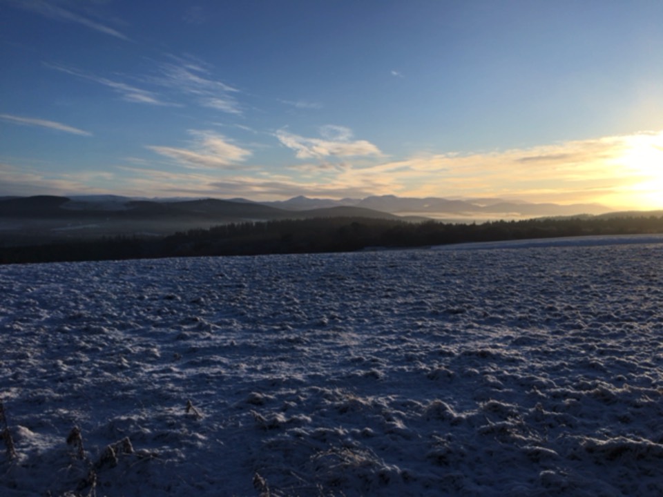 Grantown on Spey, Moray, The Cairngorms ...