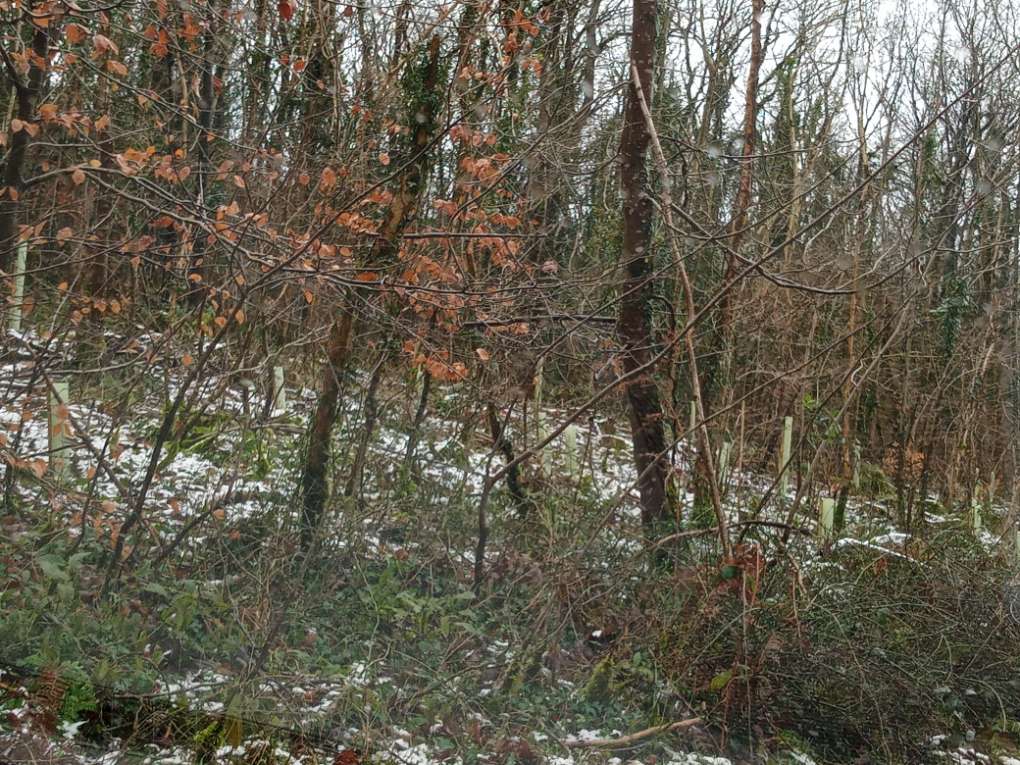 Bridgwater, Somerset, Light dusting of snow on Quantocks hanging on...