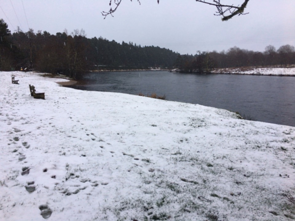 Grantown on Spey, , Snow still here but wet ...