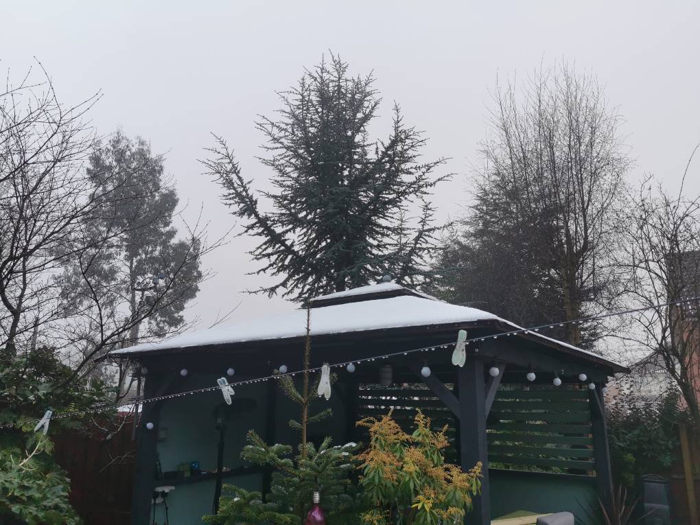St Helens, , Snow still valiantly clinging onto gazebo roof...