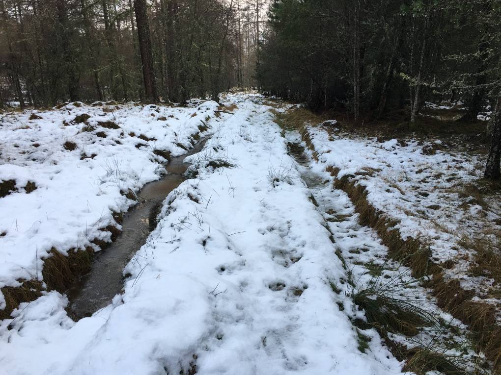 Grantown on Spey, Moray, Still some wet snow around....