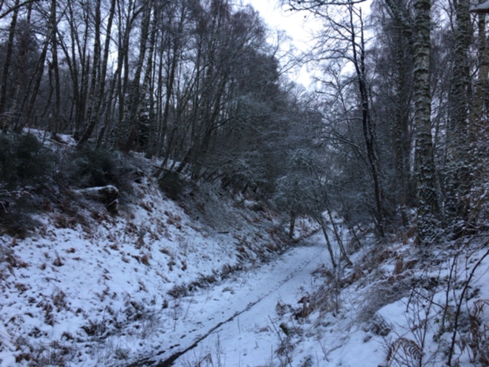 Grantown on Spey, Highland, Wee skiff of snow overnight ...