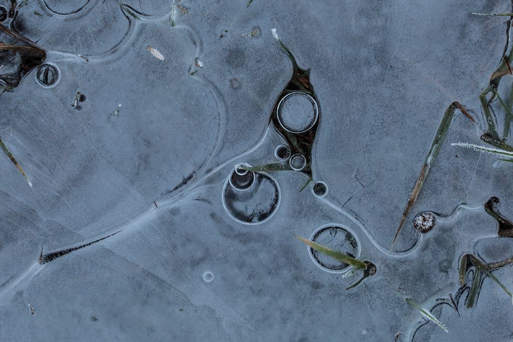 Dorchester, Dorset, Frozen Heathland Puddle...